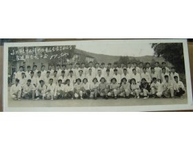 栏目用于追新