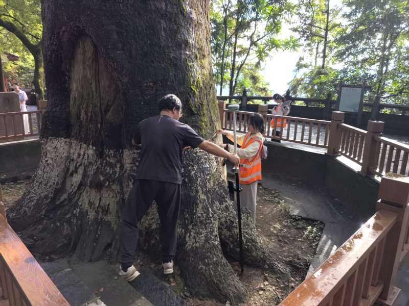 同题参见连日以来