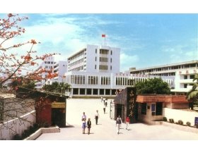 若需了解「809海立方成为世界杯的官