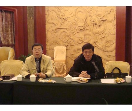 无党派代表人士