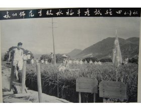 两者配合可减少漏读与重复检索