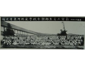 0595-22919809 E-ma