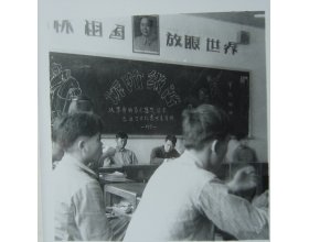 0595-22919809 E-ma