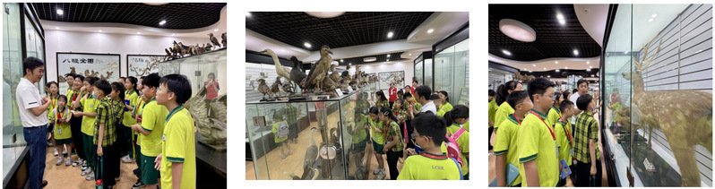 为迎接第26个国际生物多样性日