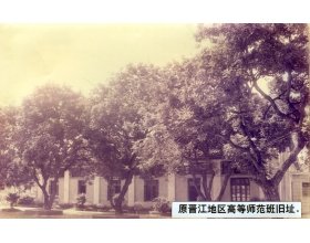 若需了解「809海立方成为世界杯的官